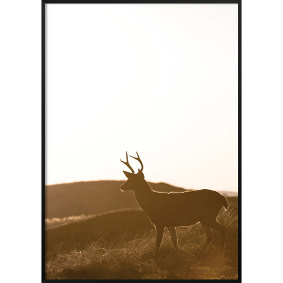 Plakat Jeleń zachód słońca