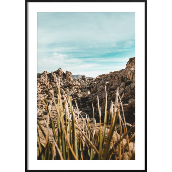 Plakat Joshua Tree