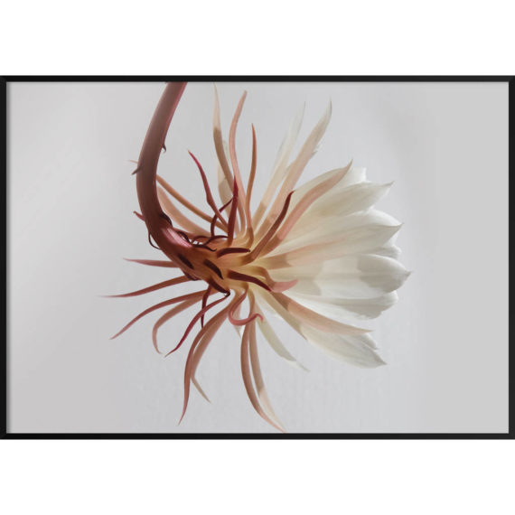 Plakat Kwiat tropikalny