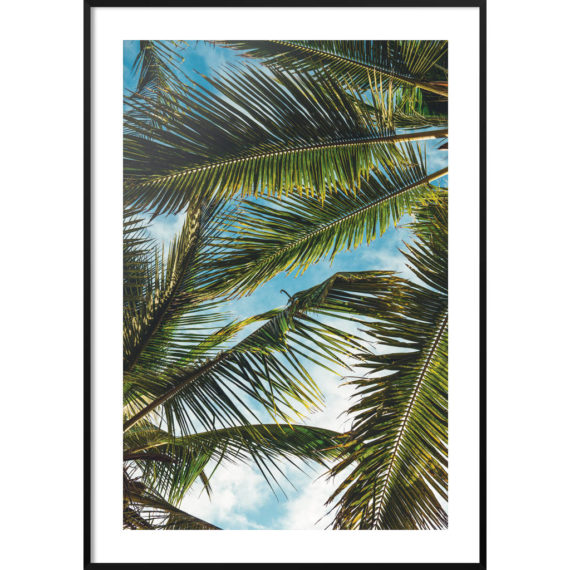 Plakat Liście palmowe