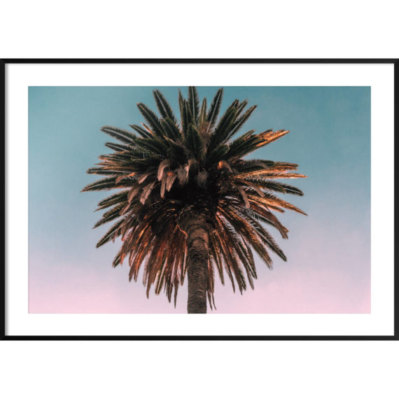 Plakat Palma zachód słońca