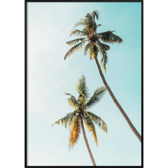 Plakat Palmy