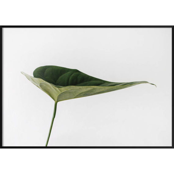 Plakat Piękno natury