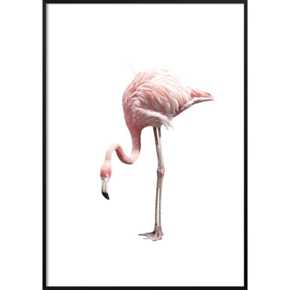 Plakat Różowy Flaming NO.1