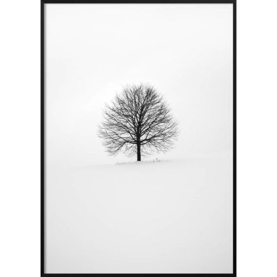 Plakat Samotne drzewo