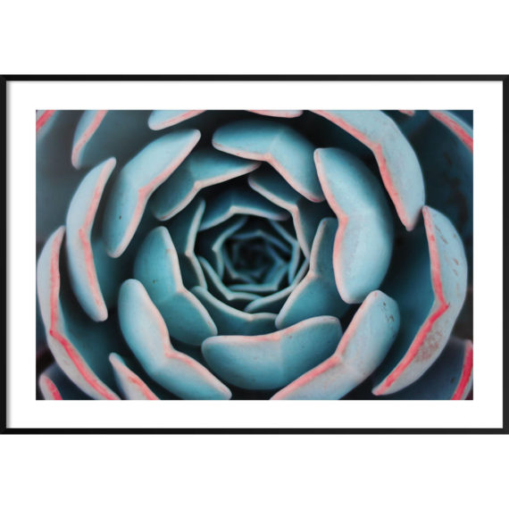 Plakat Suulenty z bliska