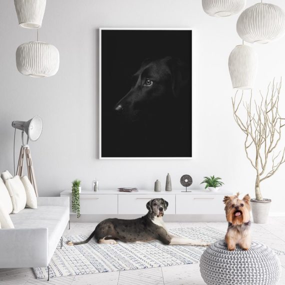 36482603_2109583732623004_1862000869801721856_n