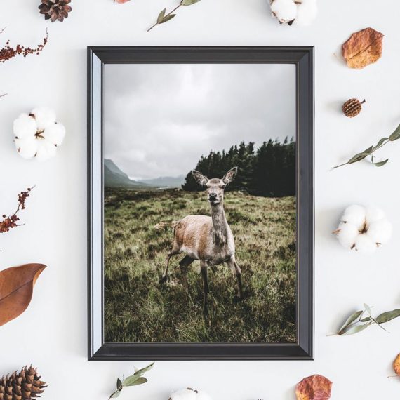 43712413_2200786503502726_5345020846354202624_n