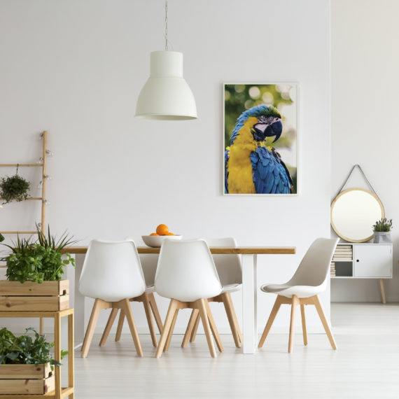 Plakat Papauga w jadalni
