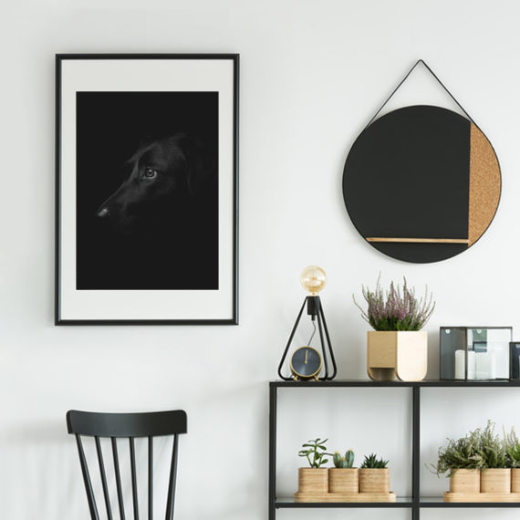 Plakat Pies (czarny)