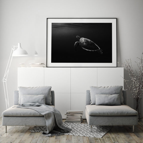 Plakat Żółw morski na komodzie