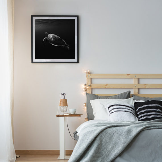 Plakat Żółw morski w sypialni