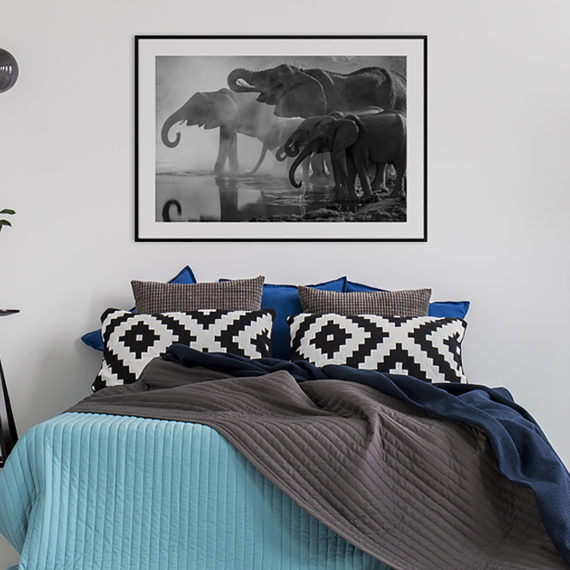 Plakat Słonie przy wodopoju w sypialni