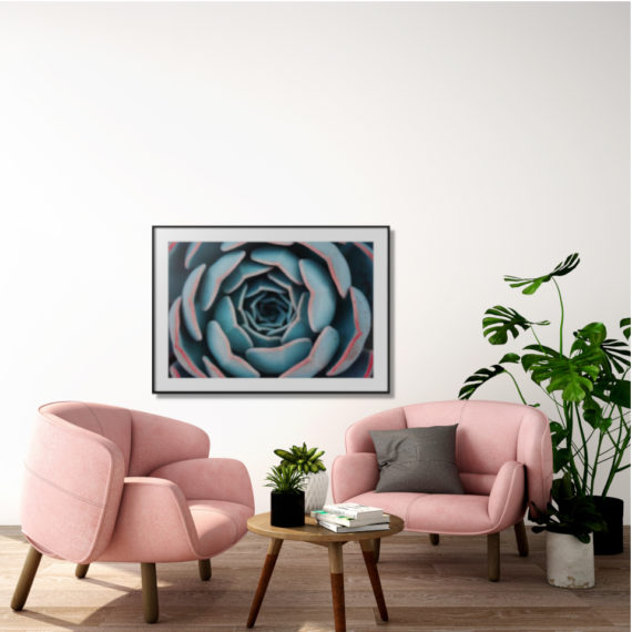 Plakat Sukulenty z bliska