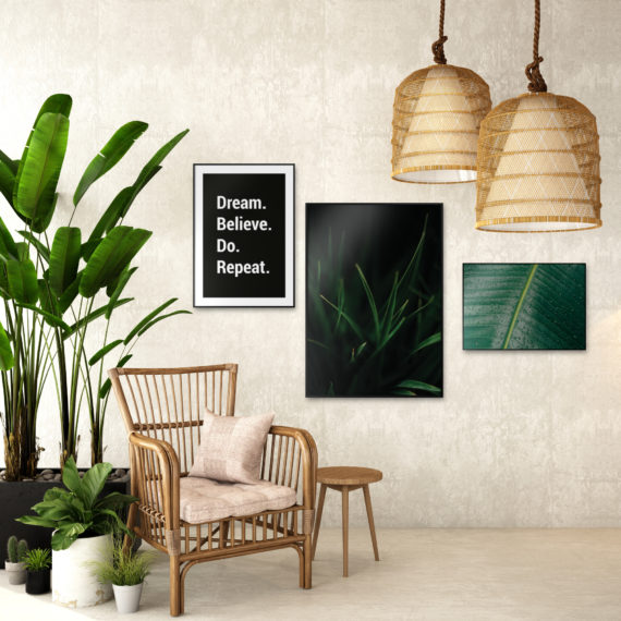 Placate Dream believe do repeat carny; Soczysta trawl; Fikus z bliska