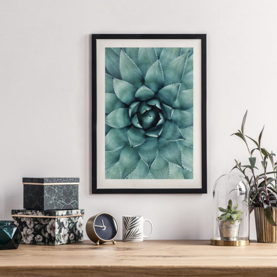 sukulenty no.2 w czarnej ramie