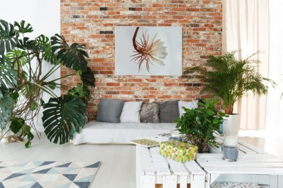 Plakat Kwiat tropikalny