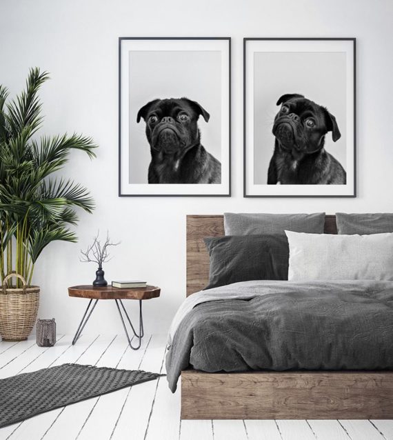 Plakat Mops mina NO.2, NO.3