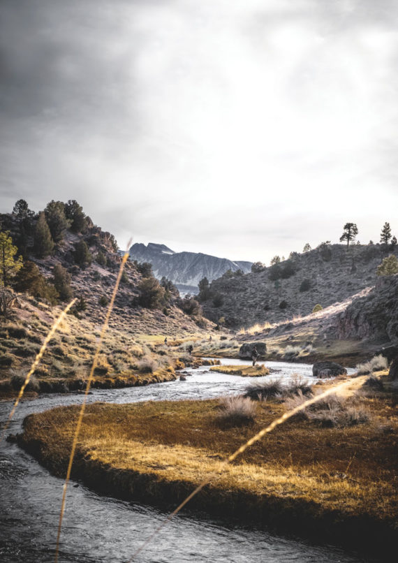 hot creek kalifornia