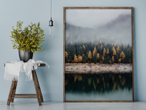 Plakat Odbicie lasu