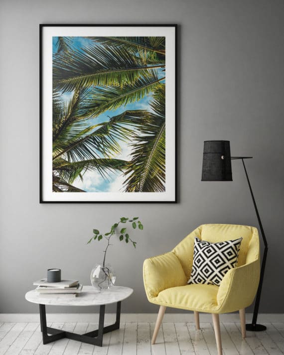 Plakat Liście palmowe