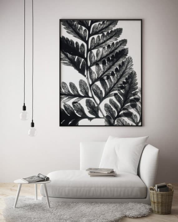 Plakat Liść czarno-biały