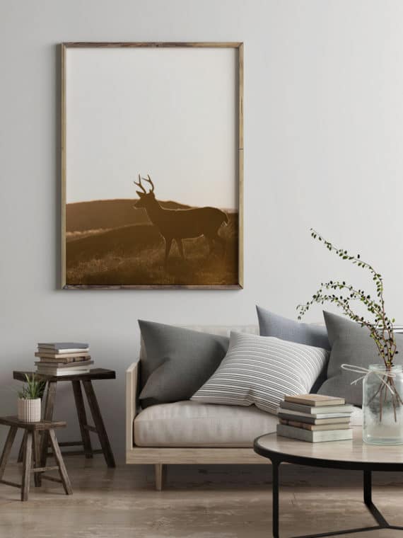 Plakat Jeleń zachód słońca