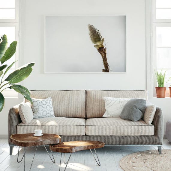 Plakat Bazia na mrozie