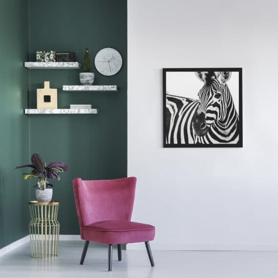 Plakat Zebra