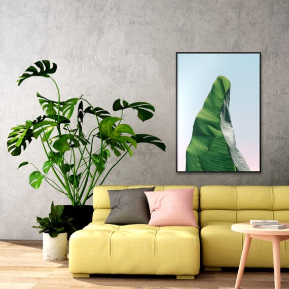 Plakat Liść o poranku