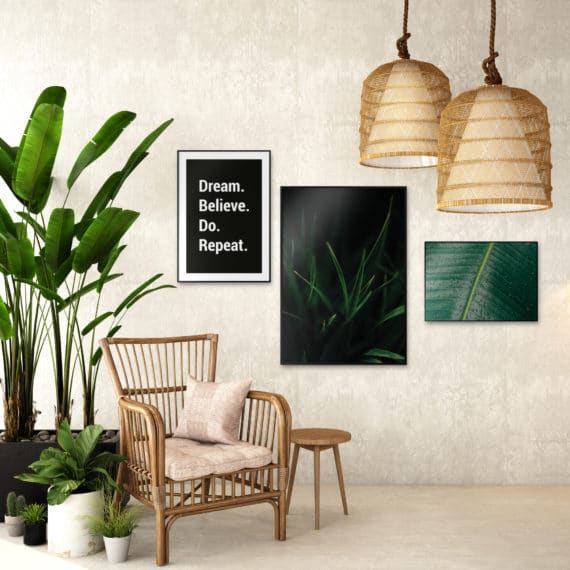 Placate Dream Believe Do Repeat; Soczysta trawa; Liść fikusa zbliżenie