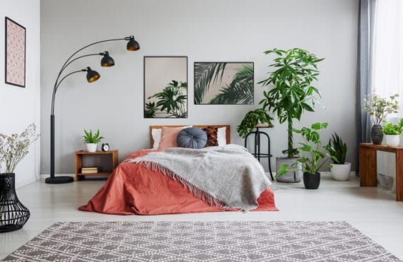 Plakat Monstera; Zielone liście palmy