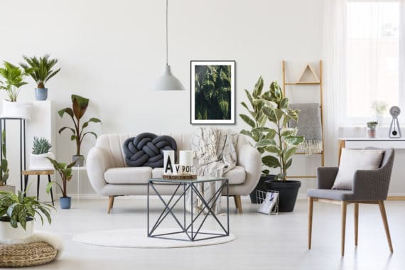 Plakat Ciepłe słońce na liściach