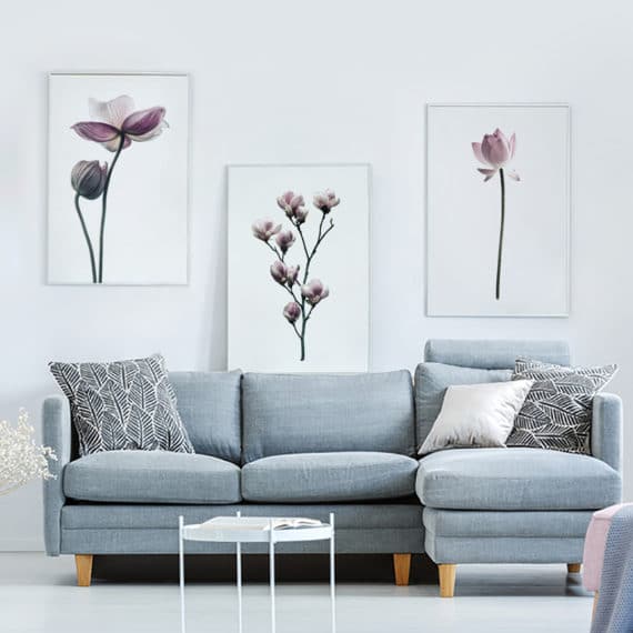 Plakat Lotos, Magnolia, Kwiat Lotosu