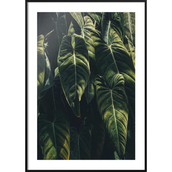 Plakat Ciepłe słońce na liściach