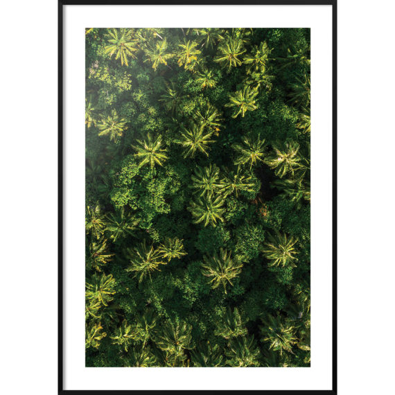 Plakat Las tropikalny