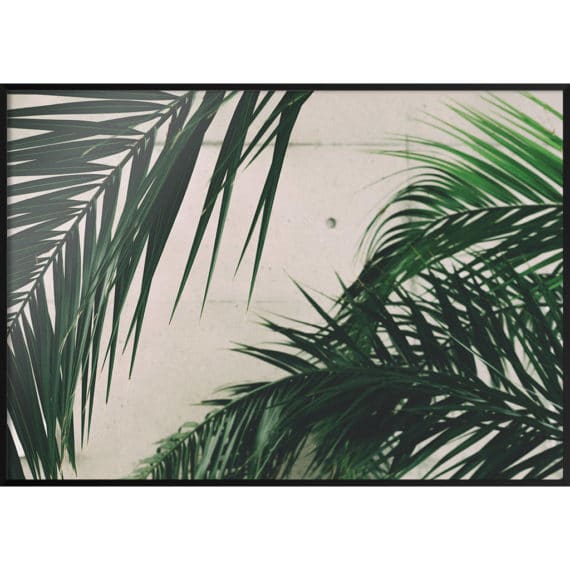 Plakat Zielone liście palmy