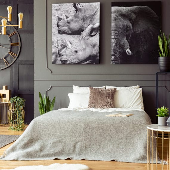 Plakat Nosorożce, Słoń