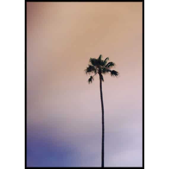 Plakat Samotna palma