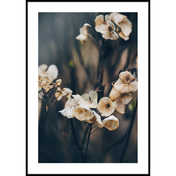 Plakat Kwiaty późnego lata