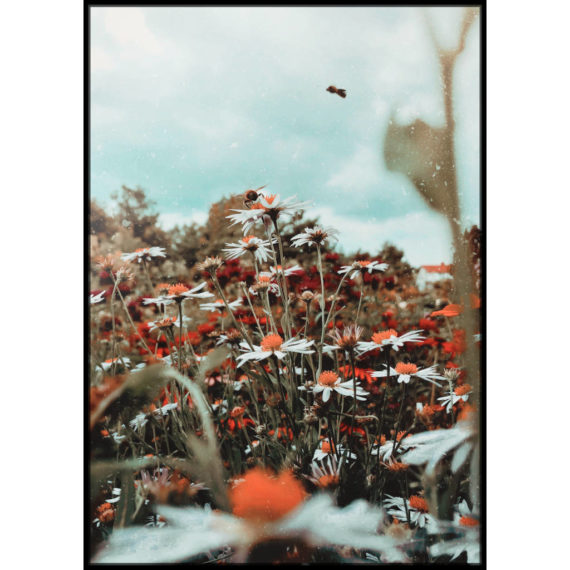 Plakat Łąka kwiatów