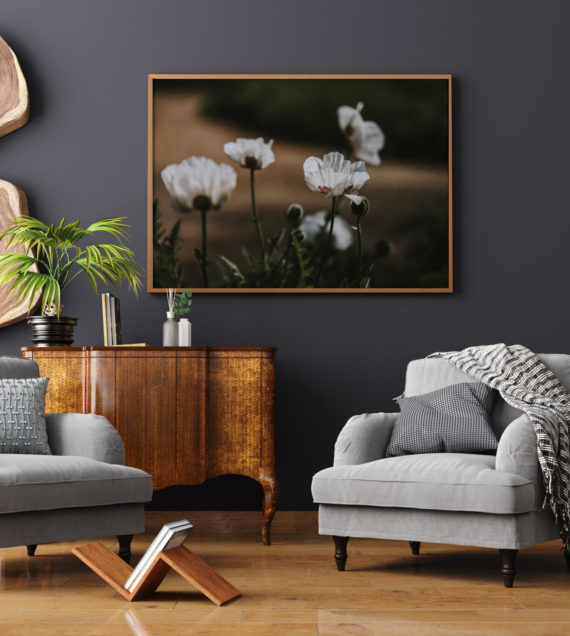 Plakat Białe maki w salonie