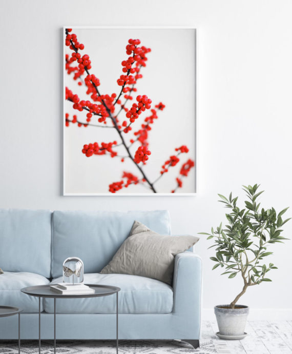 Plakat Czerwone jagody w salonie