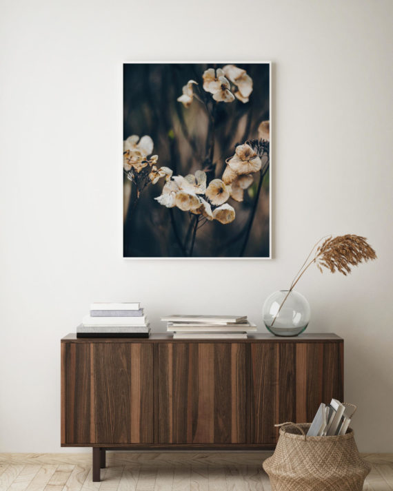 Plakat Kwiaty późnego lata na ścianie