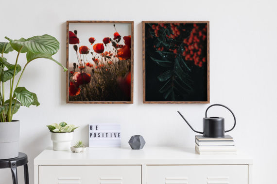 Plakat Pole maków; Jarzębina