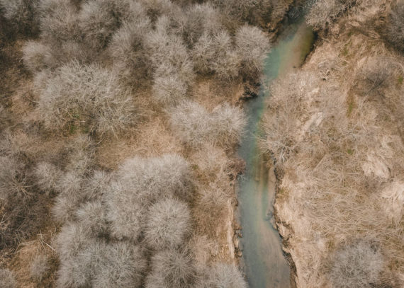 Plakat Harmonia natury