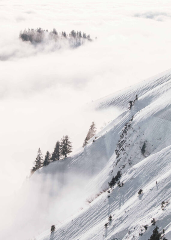 Plakat Stoki we mgle